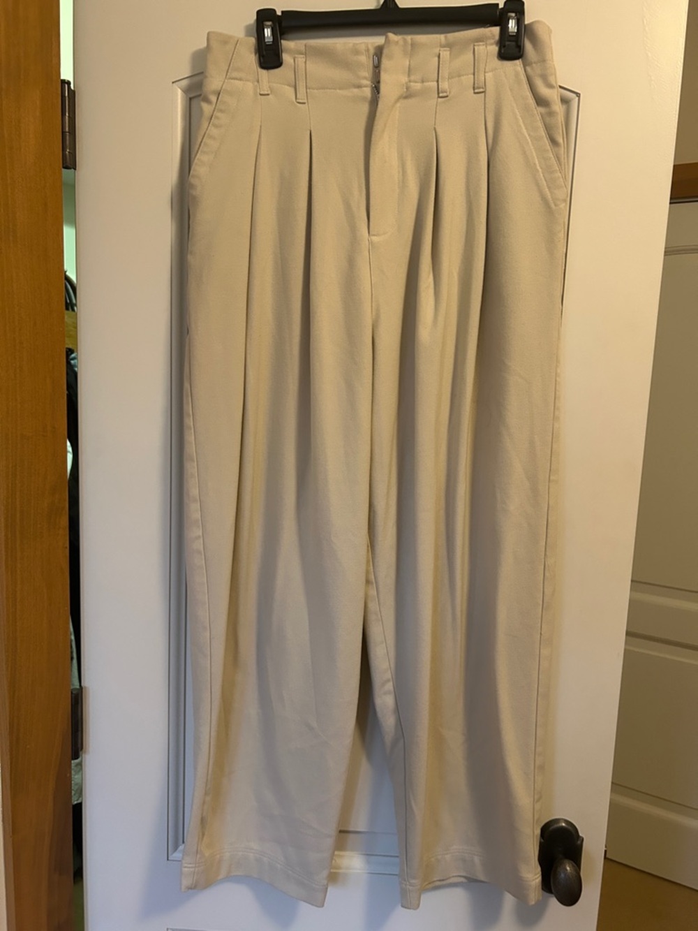 Free People Wide Leg Front Pleated Trouser  Pants in Light Beige. Versatile Cut
